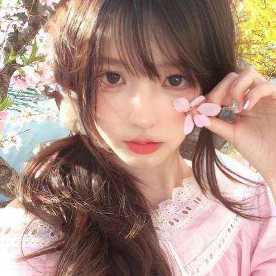 美国派:高潮再起