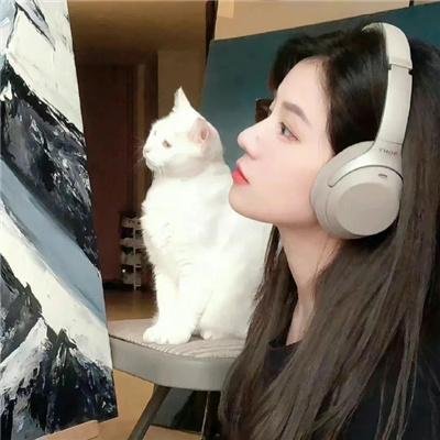 网络谜踪